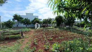 Vista de um terreno com vegetação e solo no exterior.