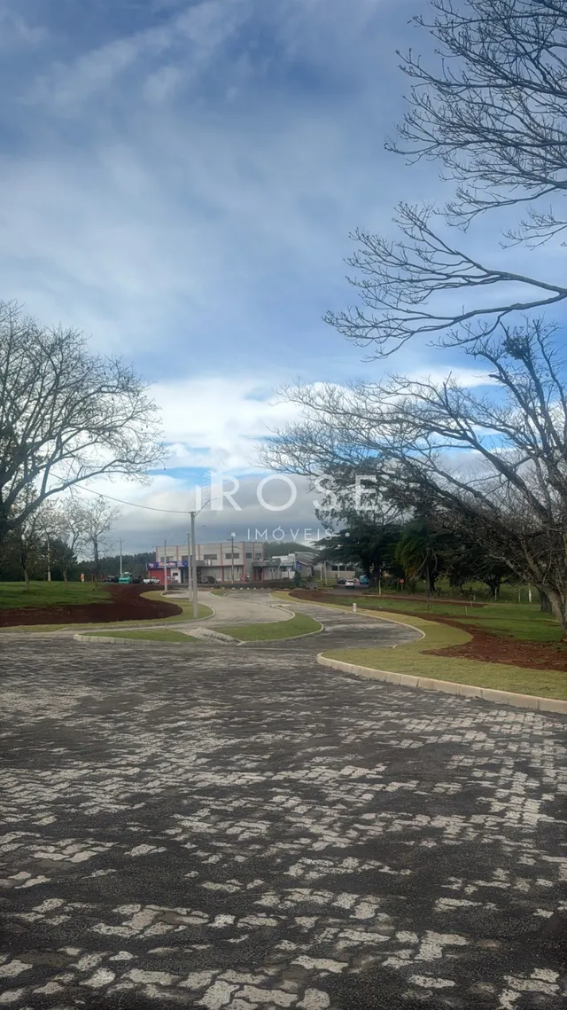 Terreno, foto 4