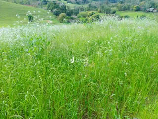 Área rural, foto 7