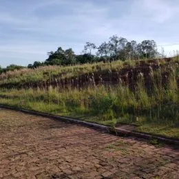 Terreno, foto 5