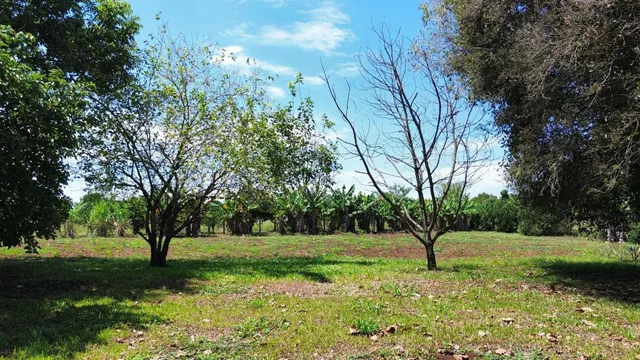 Área rural com 2 dormitórios, foto 3