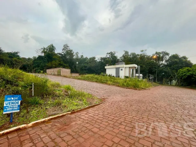 Terreno, foto 2