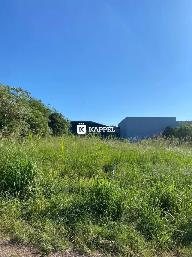 Vista externa de um edifício moderno com vegetação alta no primeiro plano.