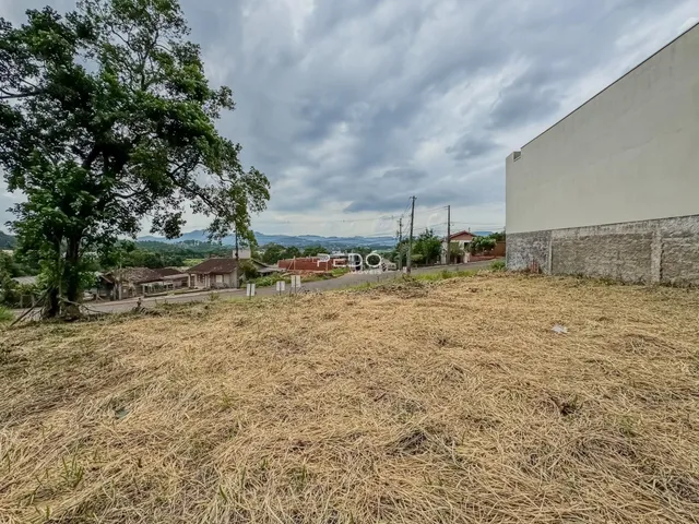 Paisagem de terreno com vegetação seca e uma parede branca ao fundo.