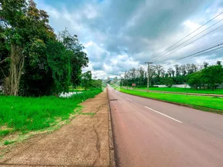 Vista da rua com vegetação ao lado da propriedade.