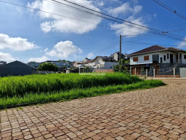 Terreno, foto 5