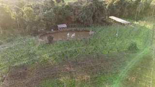 Área rural, foto 6