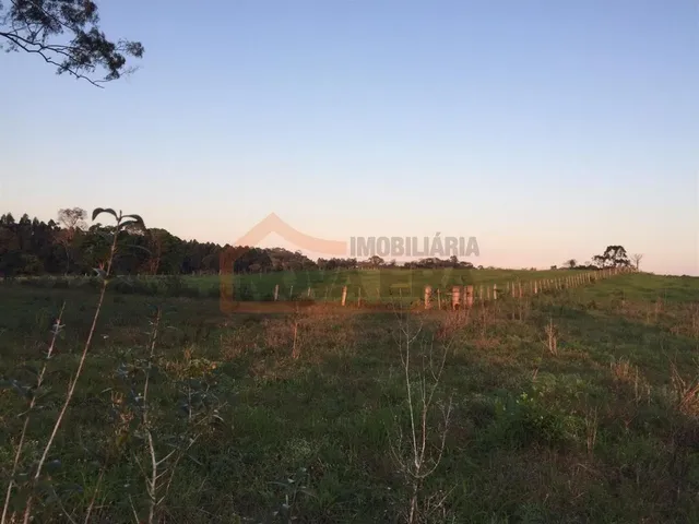 Área rural, foto 3