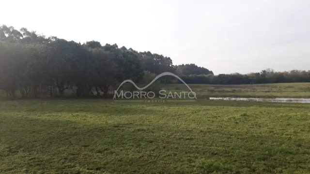 Vista de um campo aberto com vegetação verde sob um céu claro.