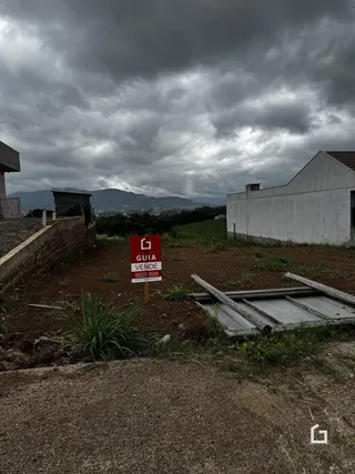 Fachada de uma propriedade com vegetação e um muro de pedra.