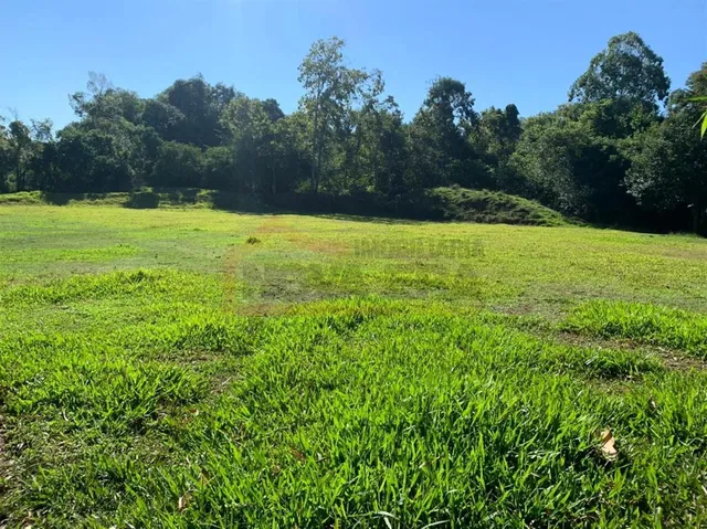 Área rural com 1 dormitório, foto 4