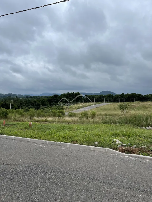 Terreno, foto 2