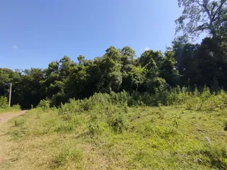 Terreno, foto 2
