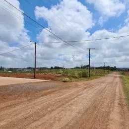 Uma estrada de terra se estende por uma paisagem com vegetação seca sob um céu nublado.