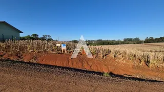 Terreno, foto 1