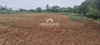 Área rural com 3 dormitórios, foto 5