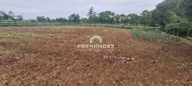 Área rural com 3 dormitórios, foto 5