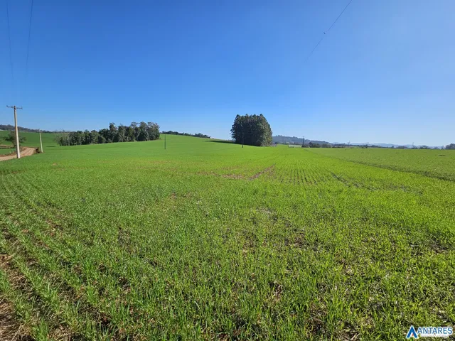 Área rural, foto 3