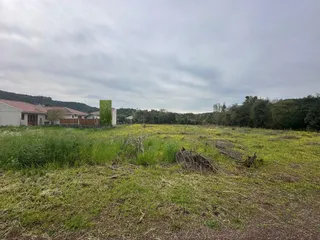 Paisagem de campo com vegetação rasteira e grama seca.