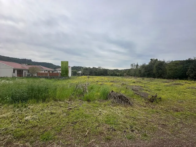 Paisagem de campo com vegetação rasteira e grama seca.