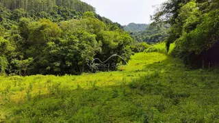 Campo verde com vegetação densa e colinas ao fundo.