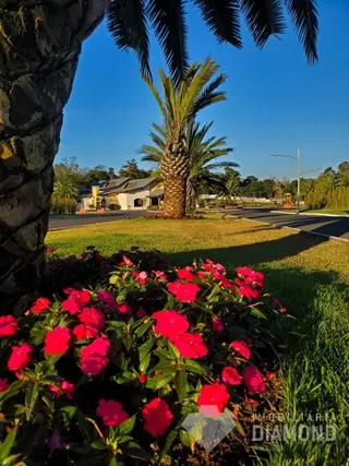 Terreno, foto 7