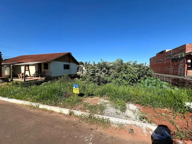 Vista externa de uma residência com vegetação densa no primeiro plano.