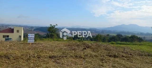 Terreno, foto 3