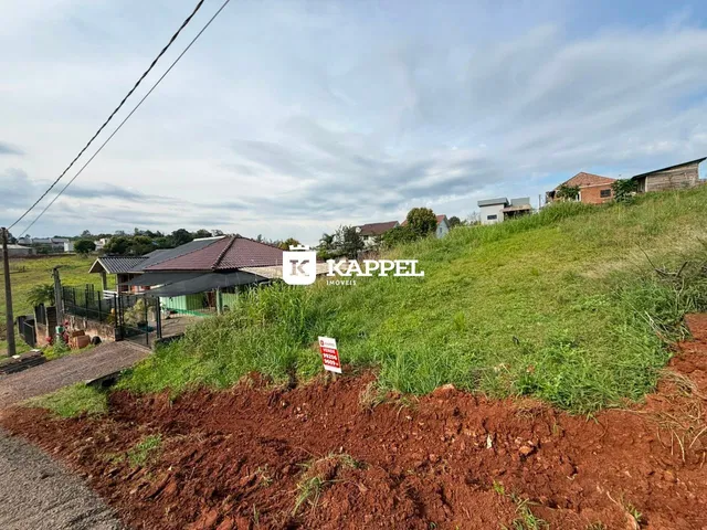 Terreno, foto 3