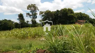 Paisagem de vegetação verde com árvores ao fundo.