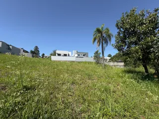 Paisagem de campo com grama alta sob um céu azul.