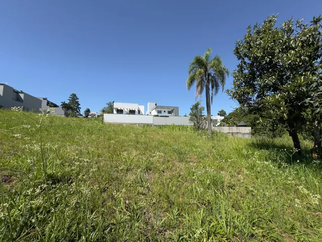 Paisagem de campo com grama alta sob um céu azul.