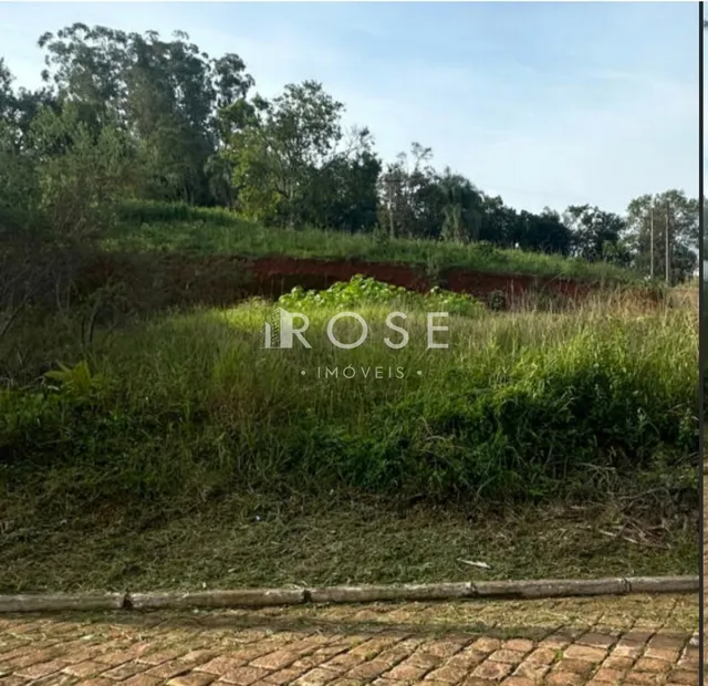 Terreno, foto 2