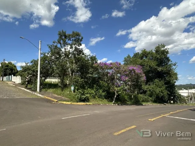 Terreno, foto 2