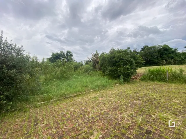 Terreno, foto 3