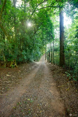 Área rural com 4 dormitórios, foto 51