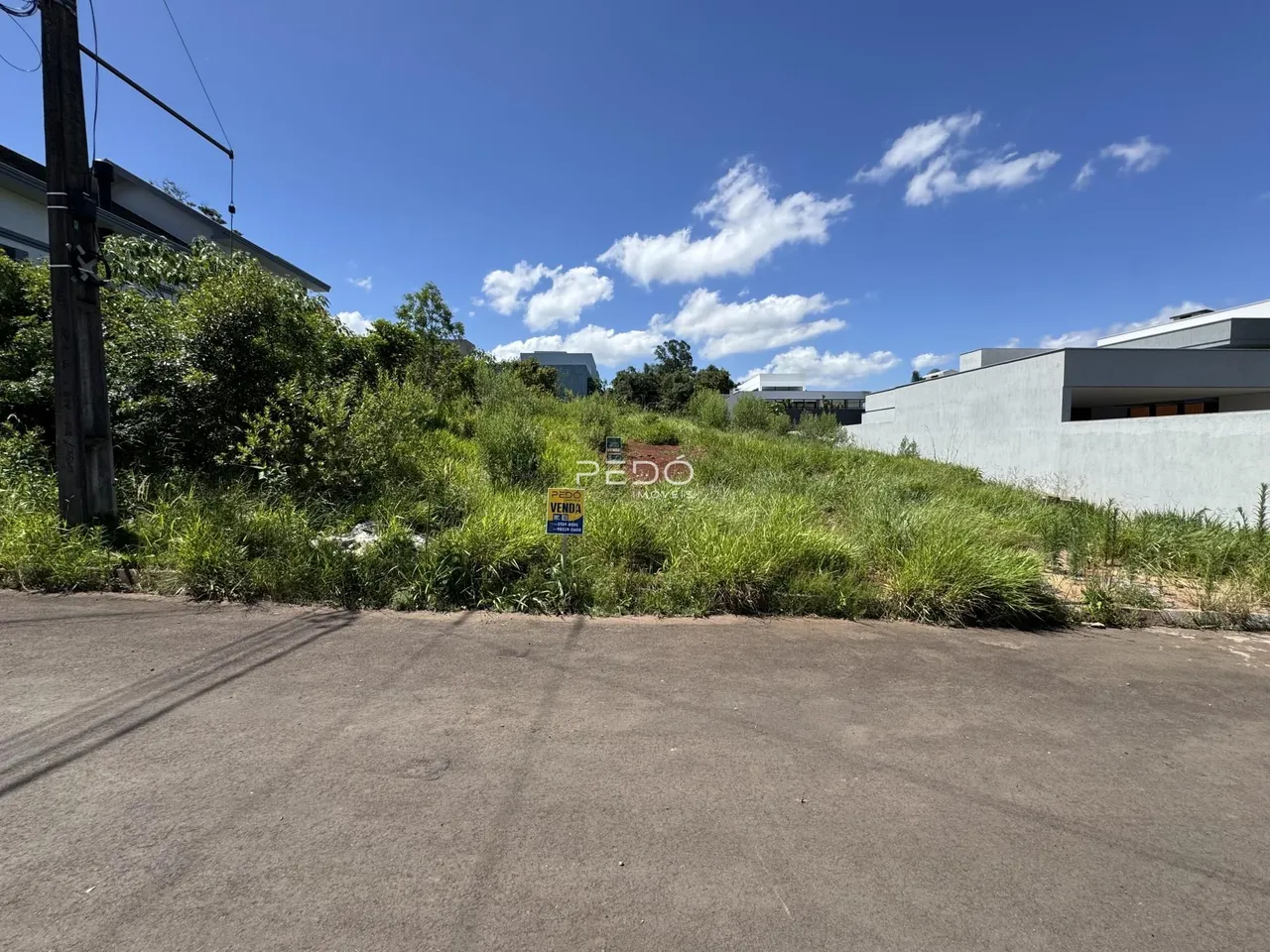 Foto da fachada de uma propriedade com vegetação densa ao lado de uma estrada.