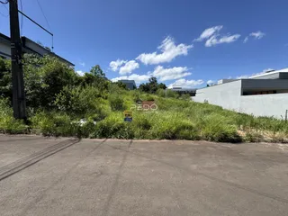 Foto da fachada de uma propriedade com vegetação densa ao lado de uma estrada.