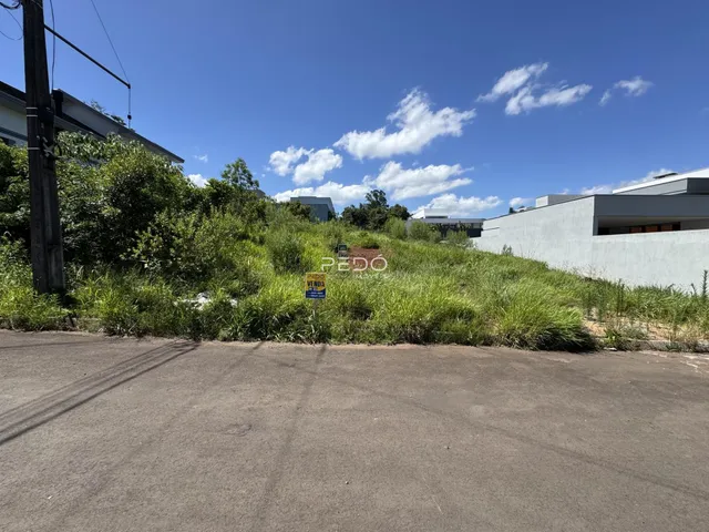 Foto da fachada de uma propriedade com vegetação densa ao lado de uma estrada.