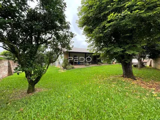 Vista externa de uma propriedade com gramado verde e árvores grandes.