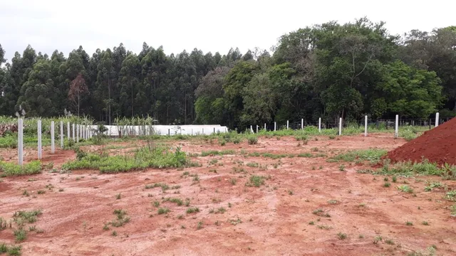Área rural, foto 4