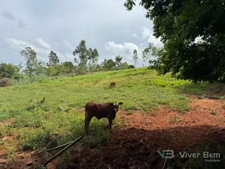 Área rural com 4 dormitórios, foto 20