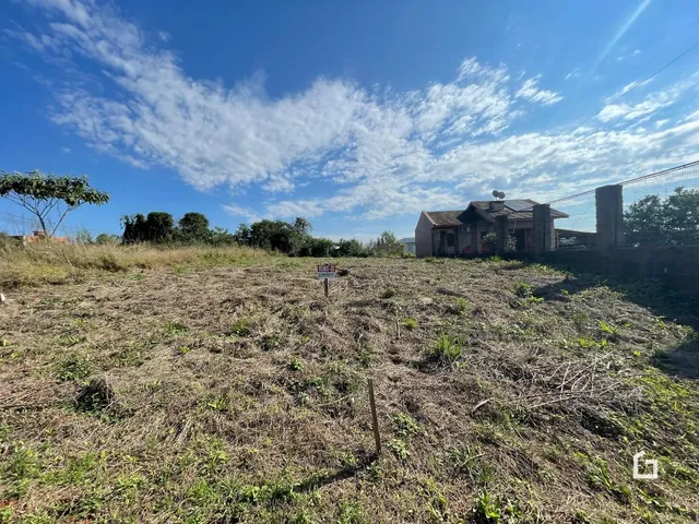 Vista externa de um terreno com vegetação seca em frente a uma cerca de arame.