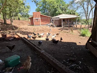 Área rural, foto 18