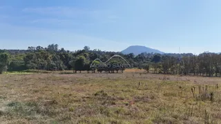 Vista de um campo aberto e seco com vegetação rasteira sob um céu azul.