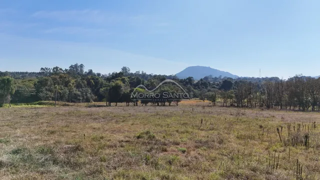 Vista de um campo aberto e seco com vegetação rasteira sob um céu azul.