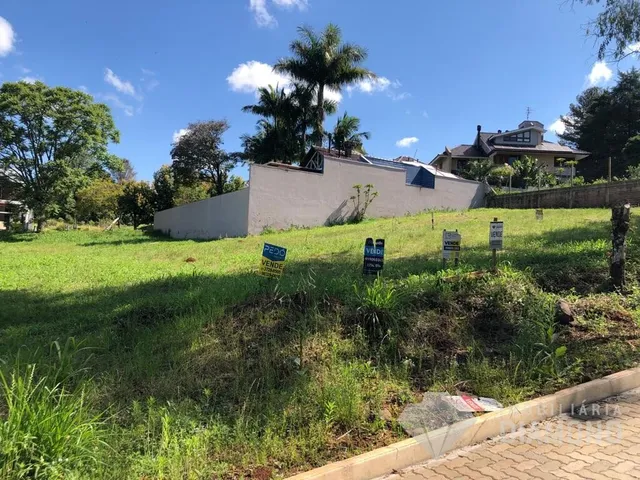 Terreno, foto 3