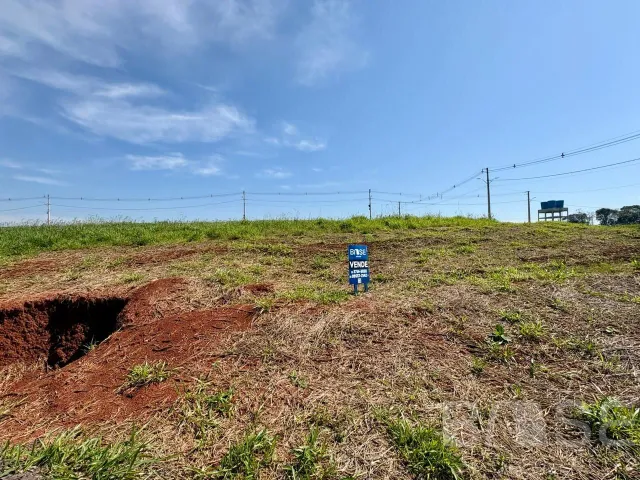 Terreno, foto 2