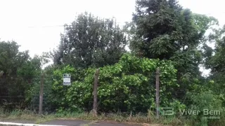 Terreno, foto 1