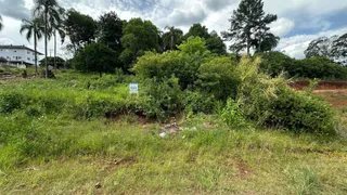 Terreno, foto 1